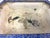 18th Century Chinese Canton Enamel Jardiniere Bonsai Container With Exquisite Decorations For Sale - Image 14 of 18
