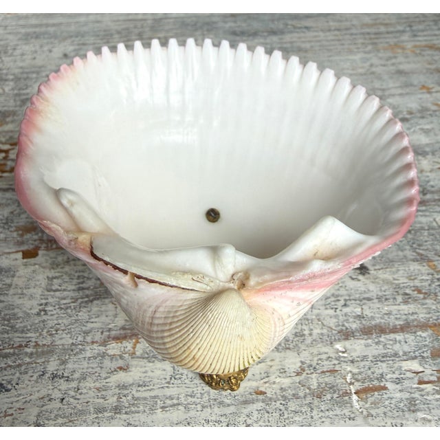 Early 20th Century French Scallop Shell Bowl on Brass Pedestal Base For Sale - Image 5 of 9