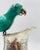 Silver 1960s Alfredo Villasana Taxco Turquoise Parrot Silver Plate Pitcher, Mexican Silver For Sale - Image 8 of 16