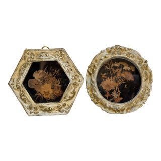 Vintage Set of Two Botanicals, Framed For Sale