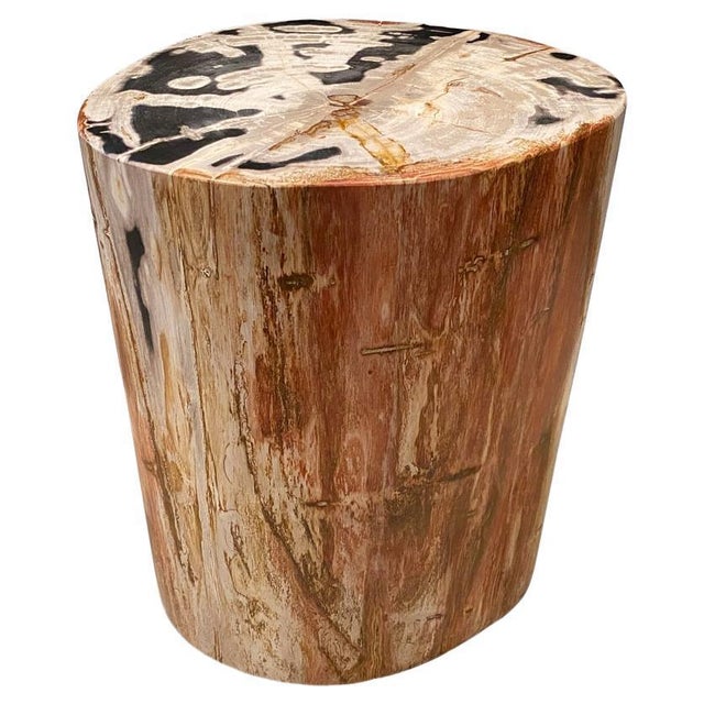 2010s Andrianna Shamaris High Quality Petrified Wood Side Table For Sale - Image 5 of 18