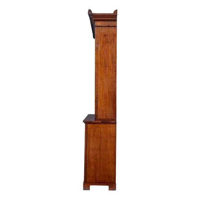 Wood Early 19th Century Flame Mahogany Bookcase, 1820s For Sale - Image 7 of 8