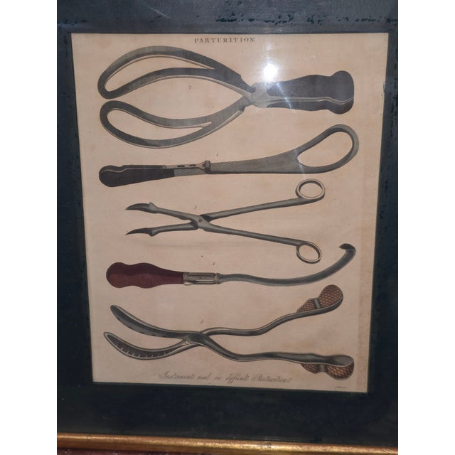 Hand Colored Medical Tools Engraving For Sale - Image 9 of 9