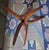 Mid-Century Danish Coffee Table in Teak with Circular Glass Top, 1960s For Sale - Image 4 of 11