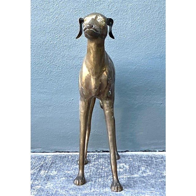 Brass Vintage Monumental Brass Greyhound For Sale - Image 8 of 16