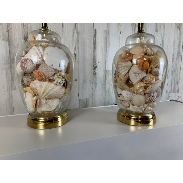 Glass Ginger Jar Shell Filled Table Lamps For Sale - Image 9 of 11