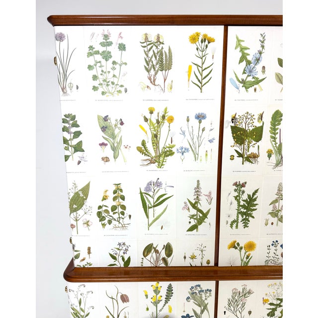 1950s 1950's Swedish Cabinet With Nordens Flora Illustrations For Sale - Image 5 of 10