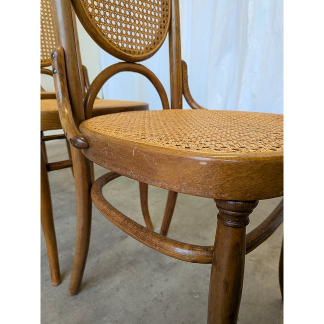 Vintage Bentwood and Cane Dining Chairs, Former Yugoslavia, 1970s, Set of 4 For Sale - Image 11 of 17