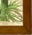 Botanical Print, Corona Imperialis Polvanthus, After Basil Besler For Sale - Image 4 of 8
