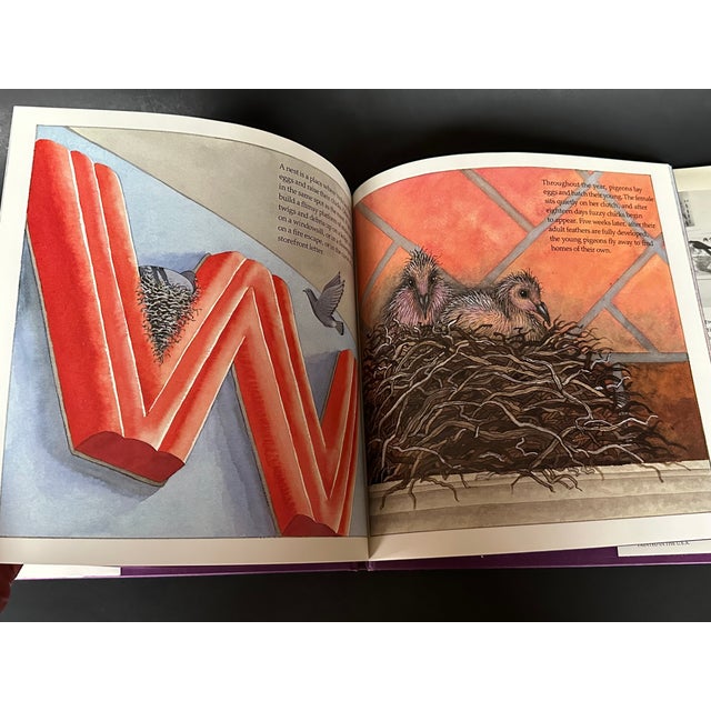 New York City Urban Roosts Vintage Children's Book For Sale - Image 10 of 11