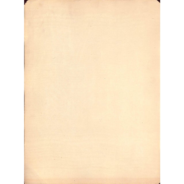 Traditional Mid 20th Century Arthur Caton by Carlo De Fornaro Reproduction For Sale - Image 3 of 3