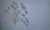 Flower Sculpture from Curis Jeré, 1970s For Sale - Image 10 of 13