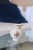 Mid 20th Century Gerold & Co. Tettau Porcelain Vase For Sale In San Diego - Image 6 of 7