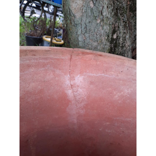 Italian Fig Terra Cotta Pot For Sale In New York - Image 6 of 13