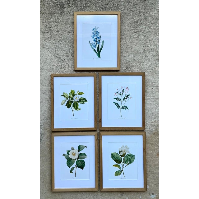 Vintage Botanical Floral Prints in Wood Frames - Set of 5 For Sale In West Palm - Image 6 of 13