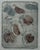 "Floating Leaves" Collograph by Laura Ames 1984 For Sale - Image 4 of 13