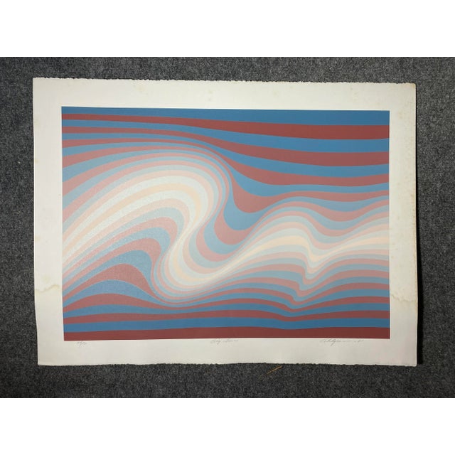Printmaking Materials 1981 Roy Ahlgren “Big Sur” Op Art Serigraph For Sale - Image 7 of 7