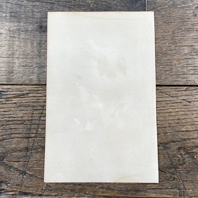 French Antique 18th Century Bird Engraving Hand Colored Signed Artwork For Sale - Image 10 of 10