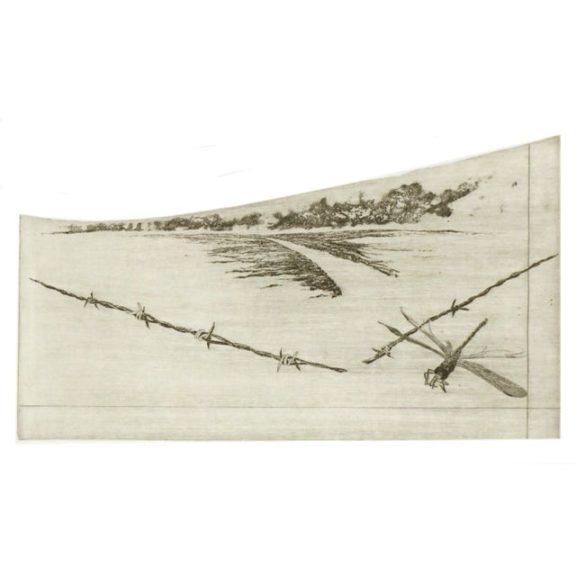 Contemporary "Unremembered Dream" Dragon Fly and Barbed Wire - Intaglio Print by Tomoya Uchida For Sale - Image 3 of 5