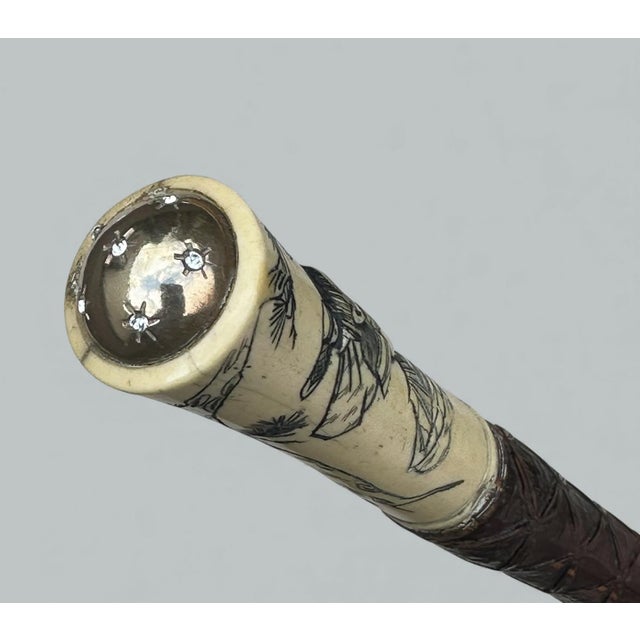 Brown Antique Victorian Vintage Bovine Whale Bone Malacca Wooden Walking Stick Cane For Sale - Image 8 of 10
