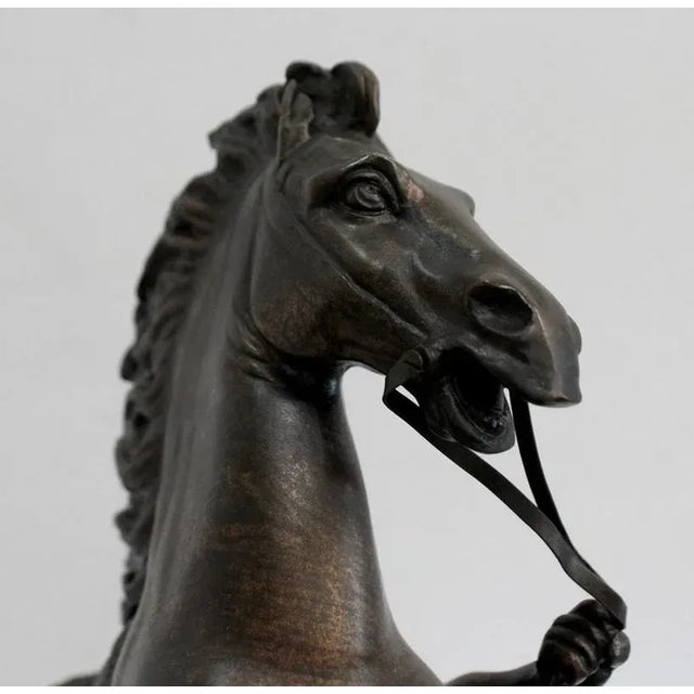 Bronze Cheval de Marly after G. Coustou, 19th Century For Sale - Image 15 of 18