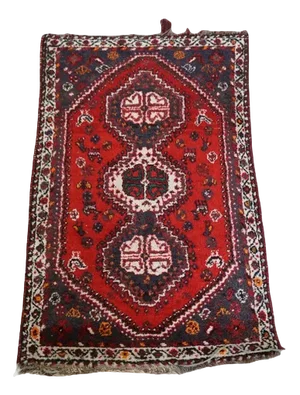 Vintage Oriental Rug in Red