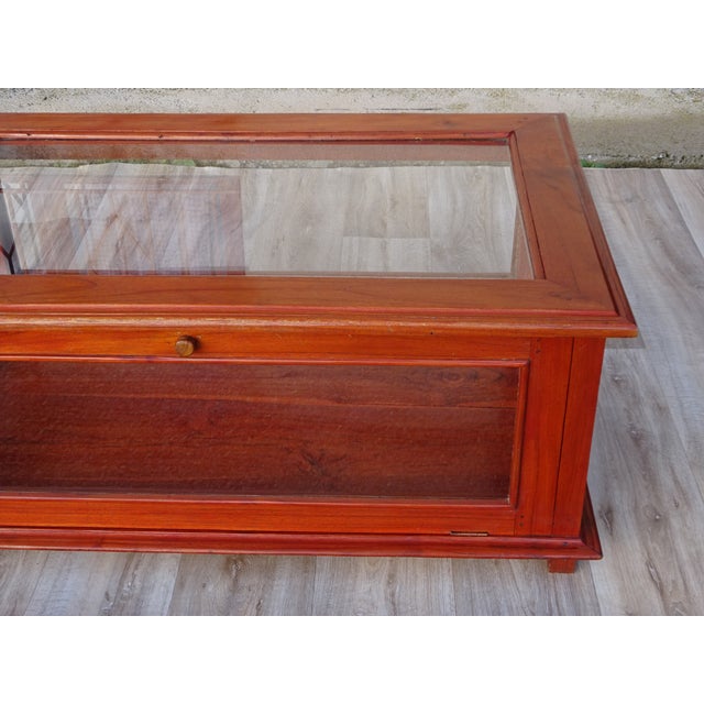 Display Cabinet with Exotic Wood Structure For Sale - Image 6 of 17