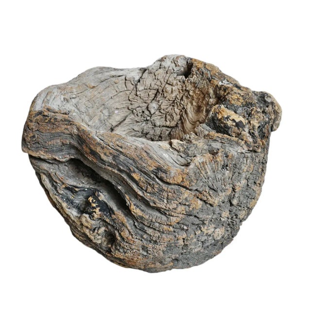 Brown Mid 20th Century Old India Burl Wood Bowl For Sale - Image 8 of 8