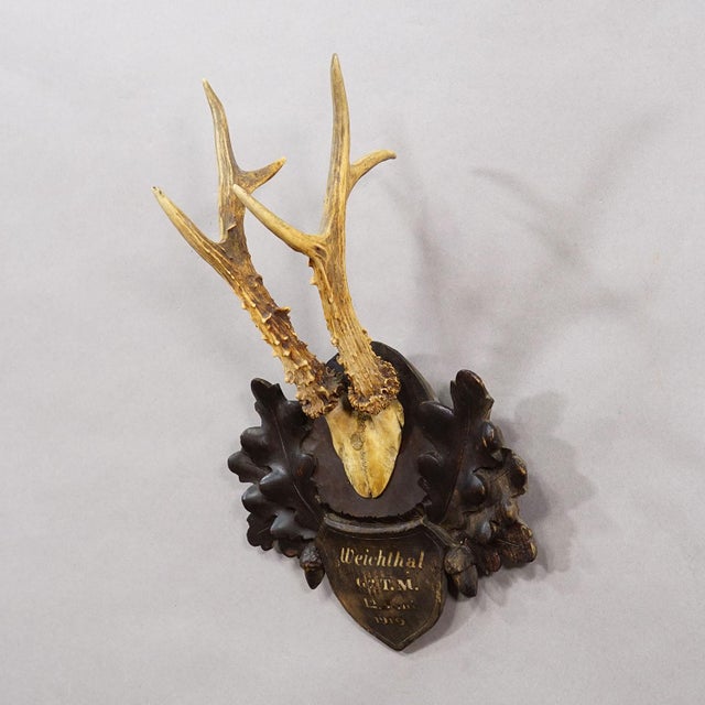 Rustic European Antique Black Forest Red Deer Trophy on Carved Plaque, Austria 1919 For Sale - Image 3 of 5