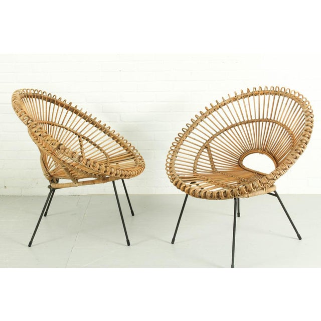 Set of Vintage Sunburst Chairs from Rohé Noordwolde, 1950s For Sale - Image 16 of 17