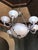 Late 20th Century Late 20th Century Neo-Classical Cast Bronze Chandelier With Frosted Crystal Hand-Cut Globes For Sale - Image 5 of 13