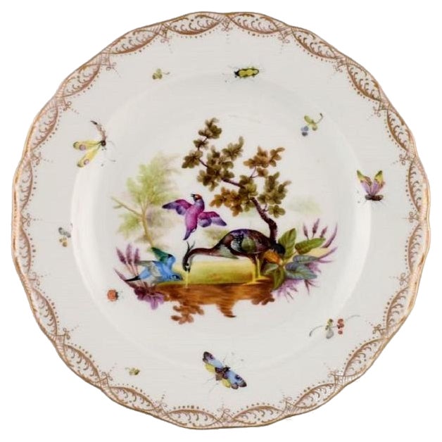 Antique and Meissen Porcelain Plate with Hand-Painted Birds and Insects For Sale