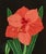 Charming decoupage "Amarylis" floral still life by BM (Bobby Livingston) signed ( LL) & dated April- 1987 on verso Art Sz:...