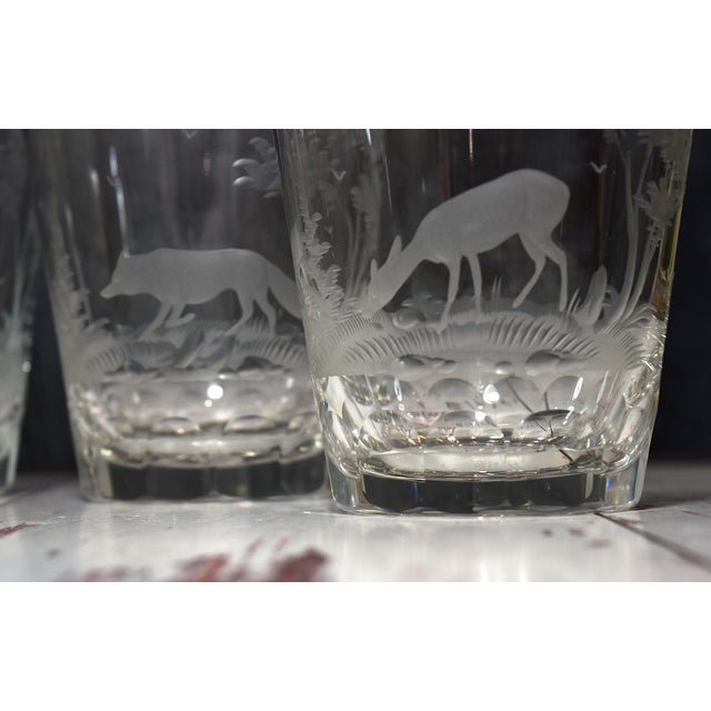 Transparent Mid 20th Century American Etched Animal Queen Lace Crystal Double Old Fashioned Glasses - Set of 4 For Sale - Image 8 of 15