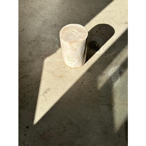 Wood White Petrified Wood Side Table For Sale - Image 7 of 18