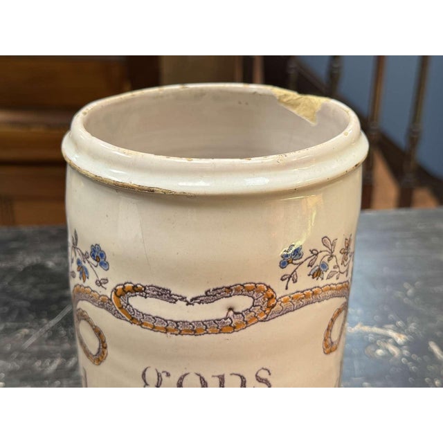 19th Century Earthenware Pharmacy Jar with Branches and Snakes For Sale - Image 4 of 9