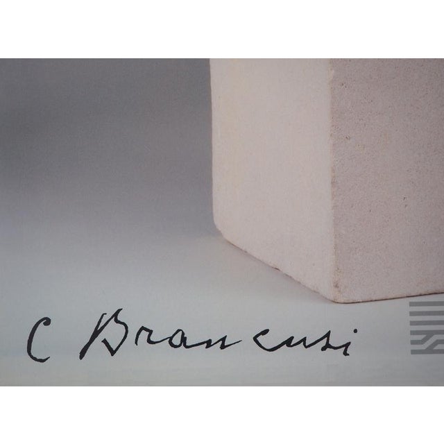 Constantin Brancusi Sleeping Muse Poster For Sale - Image 4 of 5