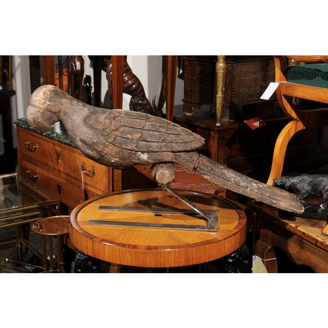 Brown Pair of Italian Carved Wooden Parrots circa 1880, Mounted on Modern Steel Bases For Sale - Image 8 of 11