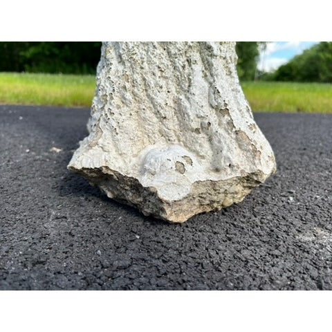 Vintage Faux Bois Bird Bath For Sale - Image 14 of 14