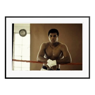 Muhammad Ali Training in Florida Black Framed Archival Pigment Print For Sale