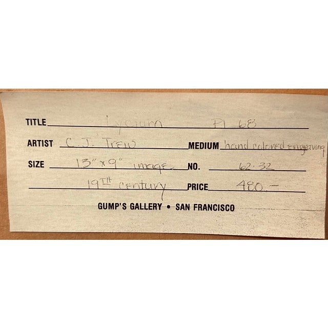 19th C. Hand Colored Botanical Engraving For Sale - Image 10 of 11