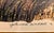 Gatewood Waddell "Earth Mothers" Dyptych Offset Lithograph Print Edition 497/850, 1996 For Sale In South Bend - Image 6 of 9