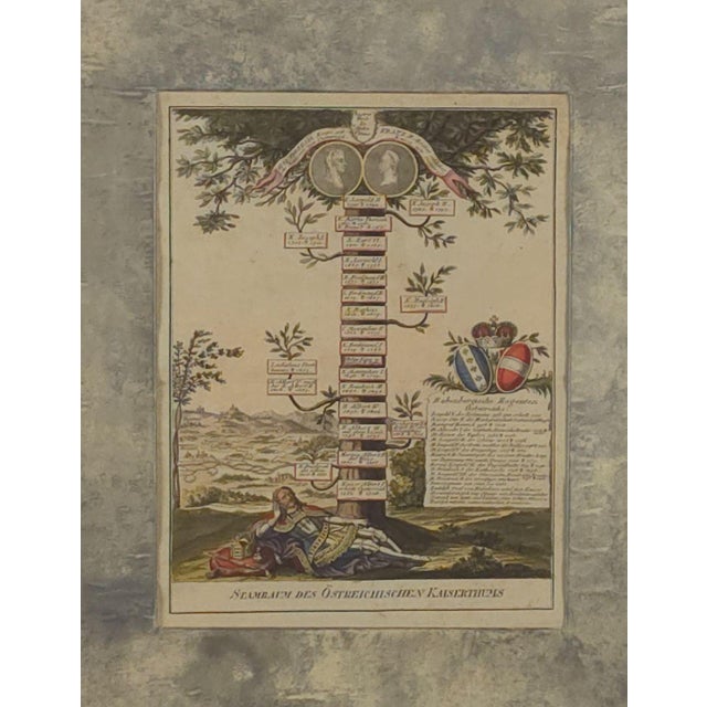 A hand-colored engraving of a Habsburg family tree, 18th century or earlier.