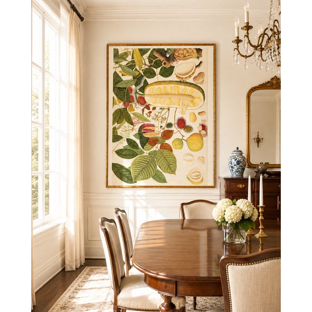 English Asian Tropical Fruit Botanical Plate 1, Giclée Art Print, 12" X 18" For Sale - Image 3 of 10