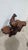 Carved Burl Wood Pedestal Plant Sculpture Stand / Coffee Table For Sale In South Bend - Image 6 of 7