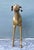 Vintage Monumental Brass Greyhound For Sale - Image 16 of 17