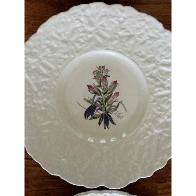 Alabaster 1940s Royal Cauldron Bristol Ironstone “Cardinal Flower” 9.5” Appetizer Plates ~ Set of 8 ~ England For Sale - Image 8 of 13