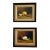 Mid 20th Century Signed W. Pater Still Life Oil Paintings – Citrus Zest and Harvest Bounty - Two Paintings Sold as a Pair For Sale