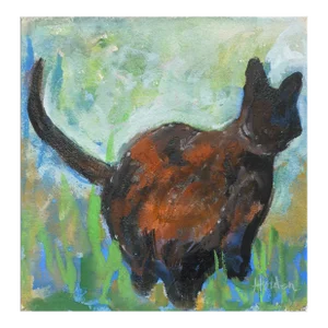 Kitty in the Grass