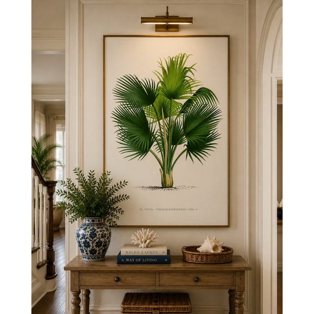 Fan Palm Botanical Study, Vintage Art Print Reproduction, 12" X 18" For Sale - Image 4 of 10